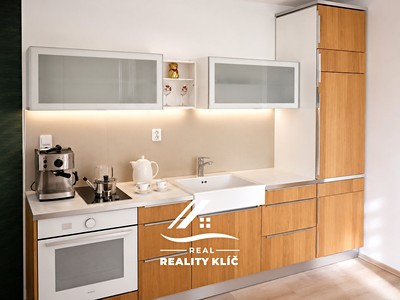 Pronájem bytu 1+1 45 m²