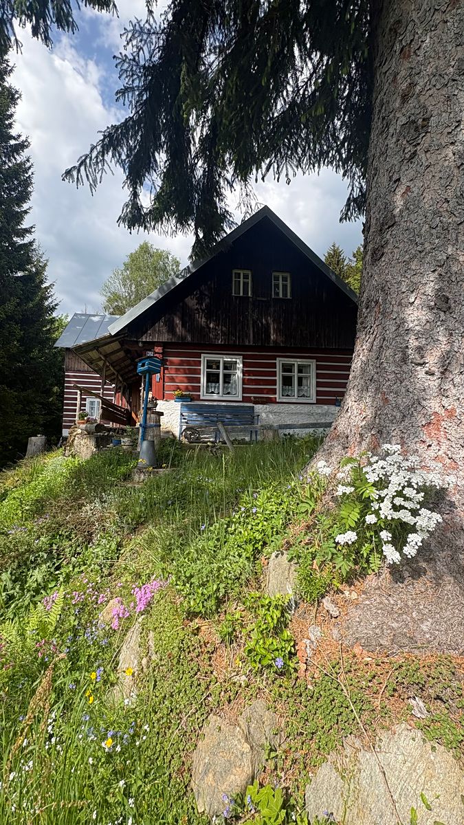 Prodej chalupy 212 m², pozemek 12878 m² – fotografie 3