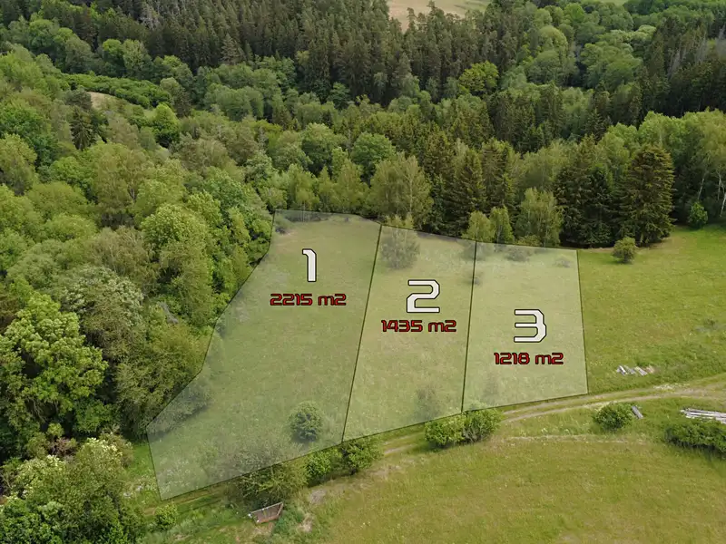 Prodej stavebního pozemku 1218 m², Planá – náhled fotky 1
