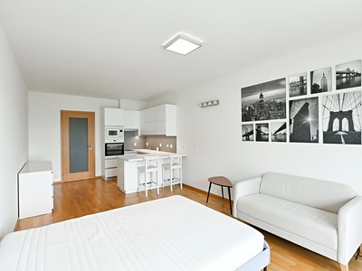 Pronájem bytu 1+kk 42 m²