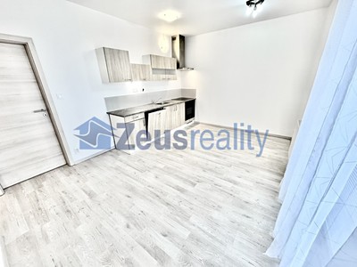 Pronájem bytu 1+kk 39 m²
