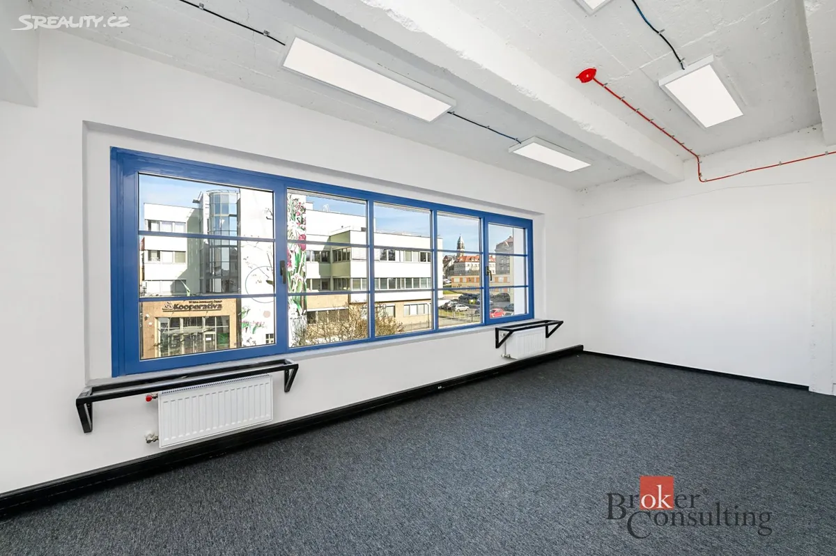 Pronájem kanceláře 219 m² - Widok 4