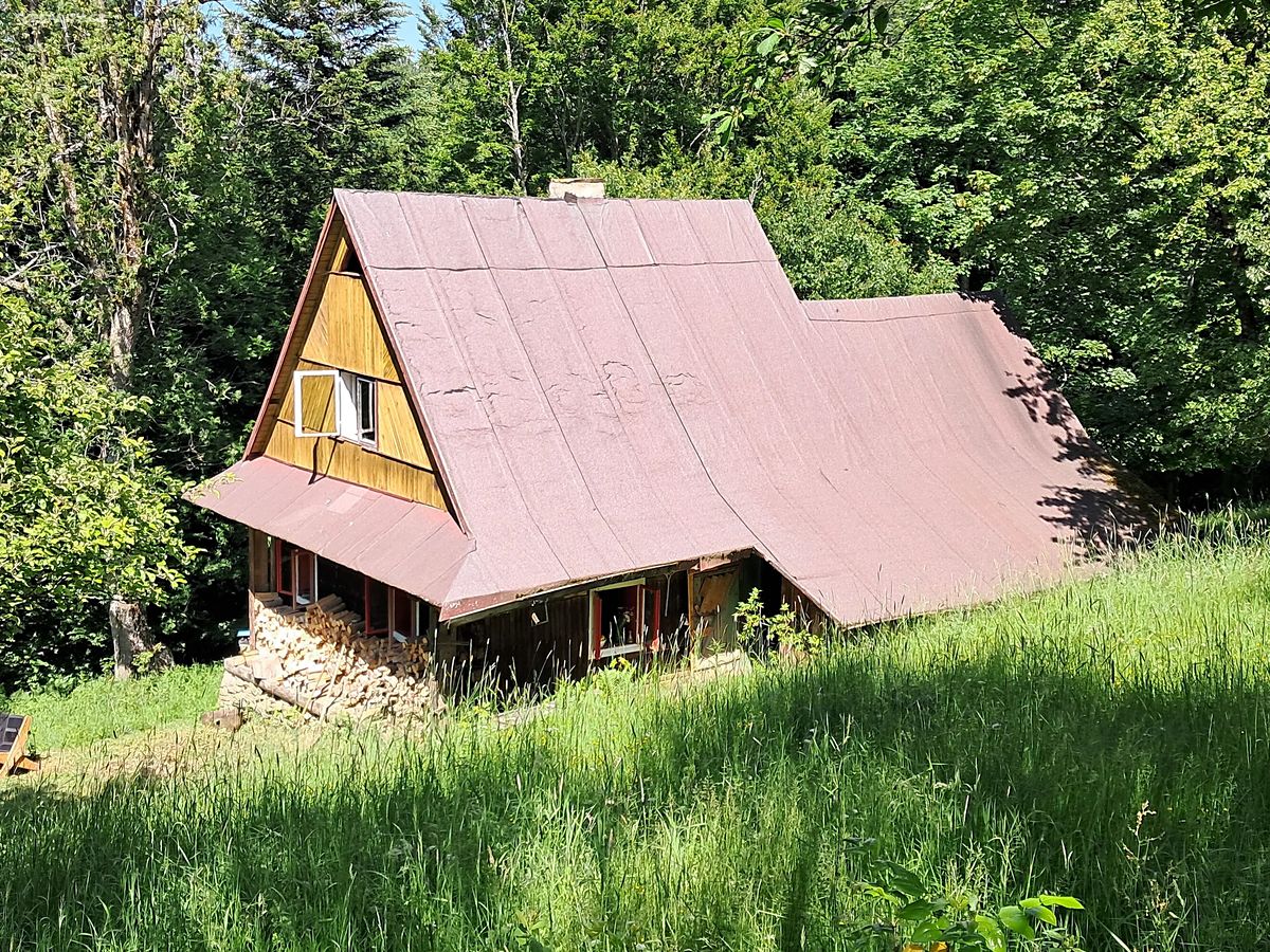 Prodej chalupy 47 m², pozemek 10251 m² – fotografie 2