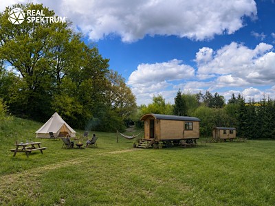 Prodej  louky 4 838 m²