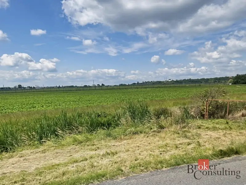 Prodej stavebního pozemku 4536 m², Staňkovice – náhled fotky 2