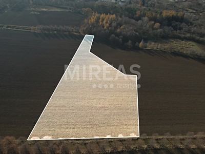 Prodej  pole 7 476 m²