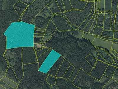 Prodej  lesa 100 734 m²