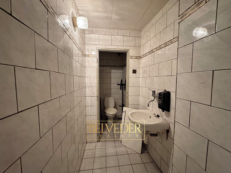 Комерційне приміщення в оренду, 441 м² (12 з 21)