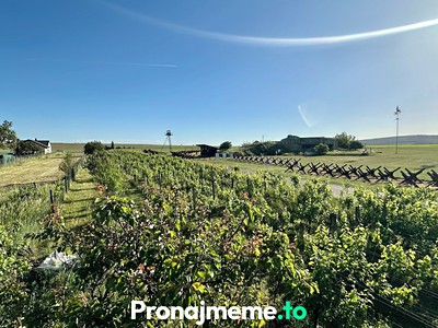 Pronájem specifického typu nemovitosti 1 759 m²