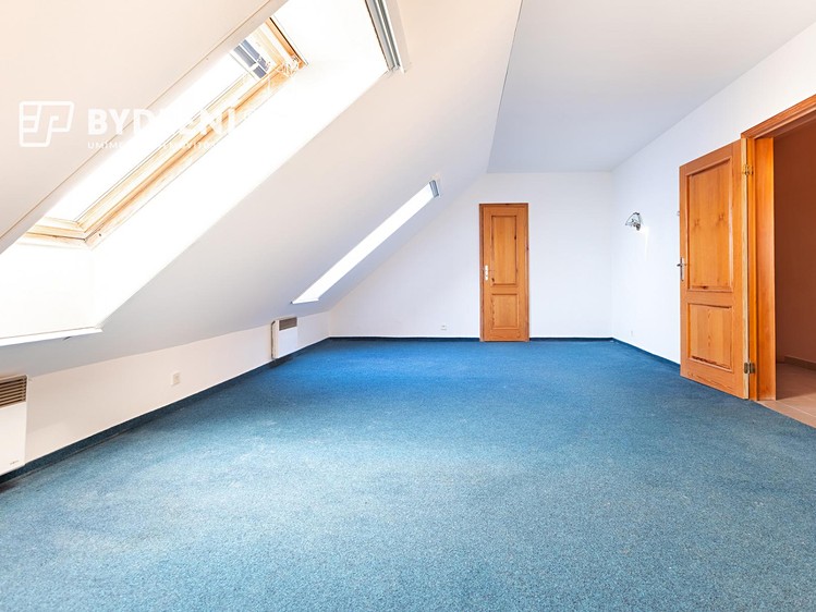Prodej domu, 250 m² (11 z 48)