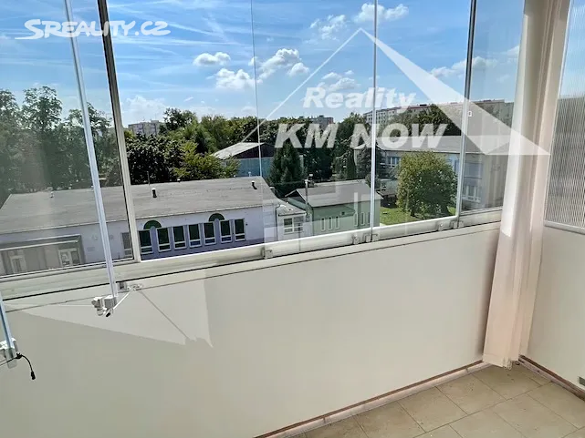 Pronájem bytu 1+1 34 m² – další