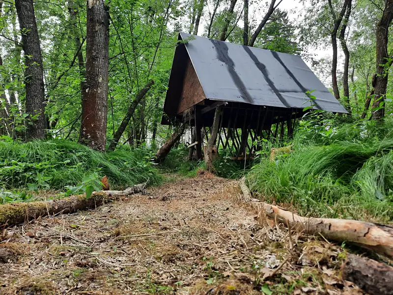 Prodej louky 2219 m², Smilovy Hory – náhled fotky 3