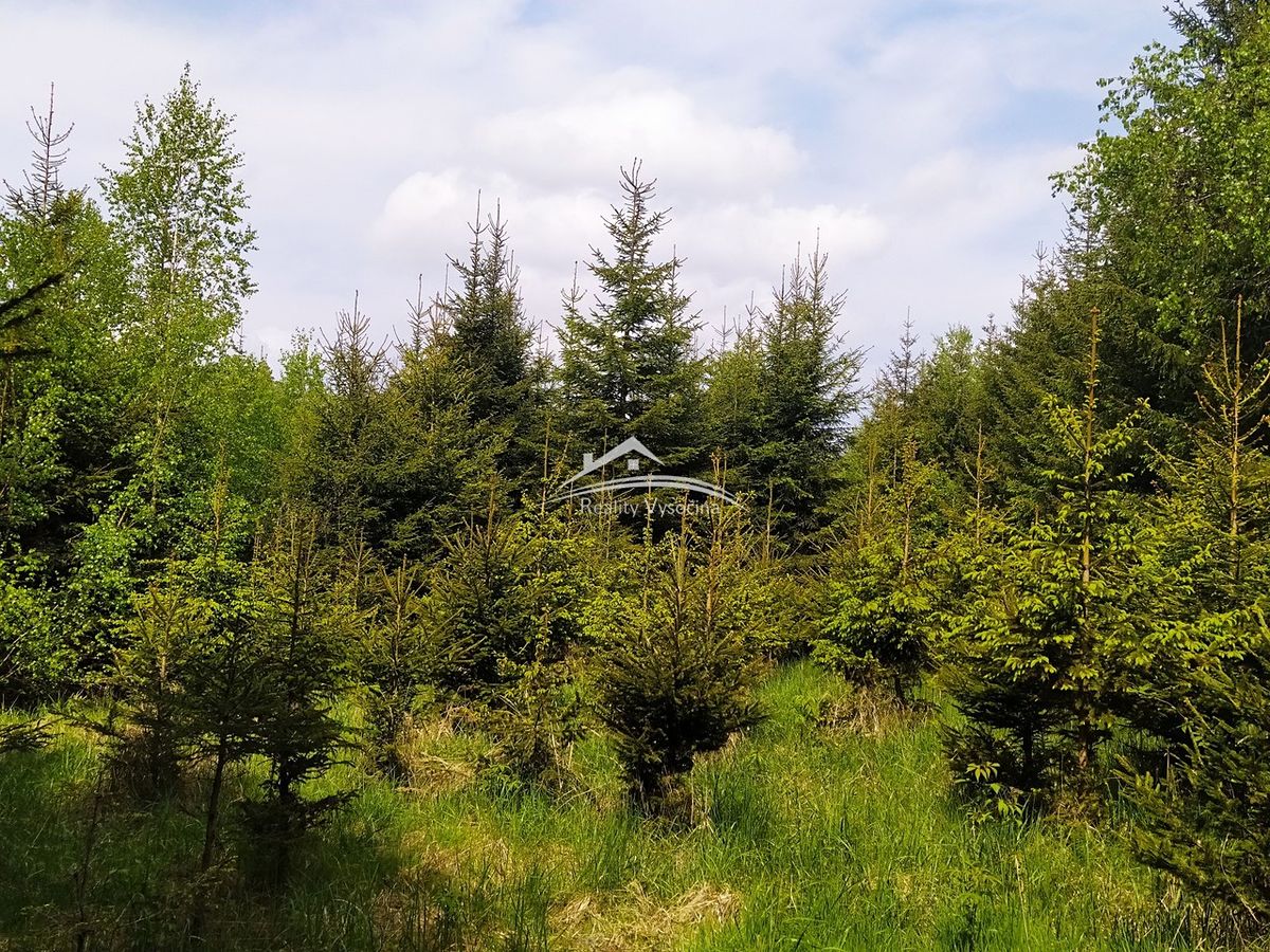 Prodej lesa 8890 m² – fotografie 3