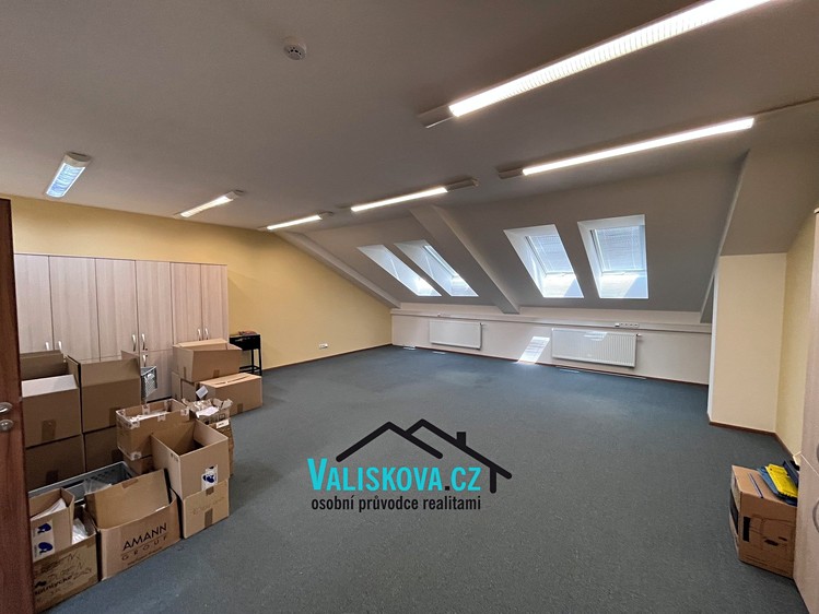 Gewerbefläche zur Miete, 300 m² (14 von 26)