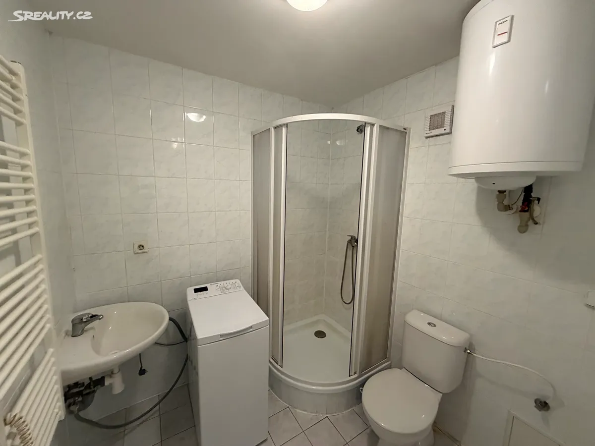 Pronájem bytu 1+kk 40 m² – další