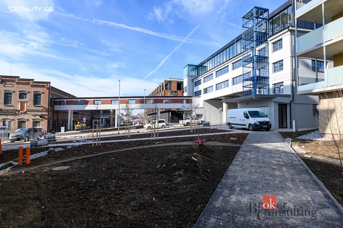 Pronájem kanceláře 219 m² - Widok 3