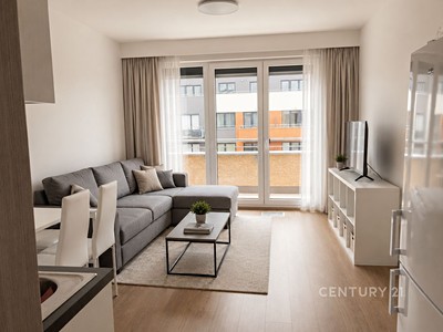 Pronájem bytu 1+kk 29 m²