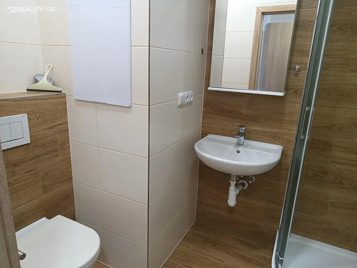 Pronájem bytu 2+1 57 m², České Budějovice