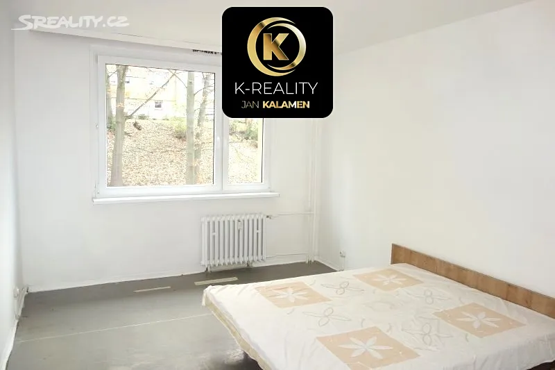 Pronájem bytu 2+1 63 m² - Widok 6