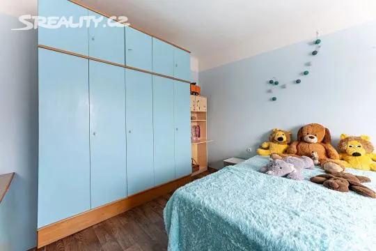 Prodej rodinného domu 106 m², pozemek 2929 m² – pohled 5