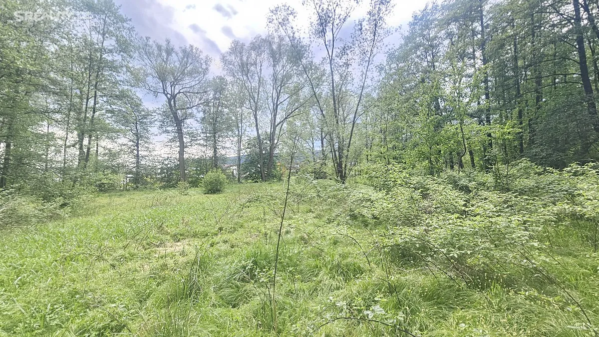 Prodej pozemku 9589 m² - Widok 4