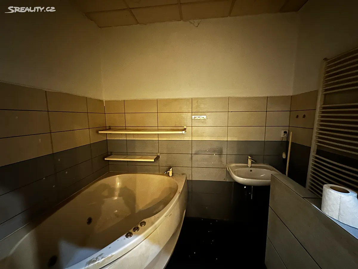 Prodej obchodního prostoru 133 m² – pohled 6