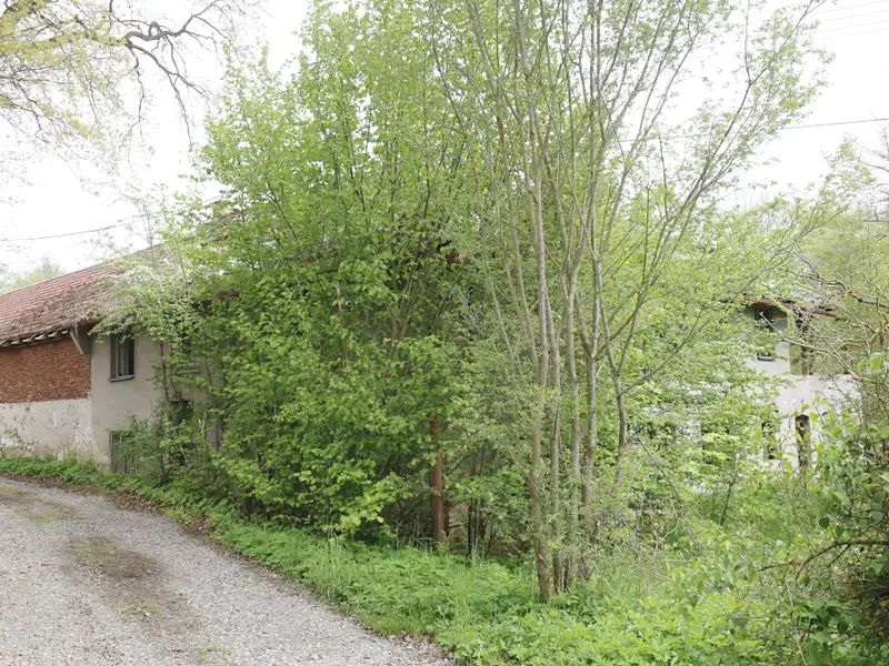 Prodej komerční nemovitosti 500 m², Šlapanov – náhled fotky 3
