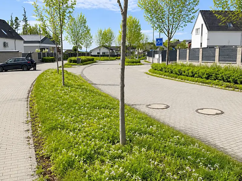Prodej stavebního pozemku 1431 m², Nová Ves pod Pleší – náhled fotky 2