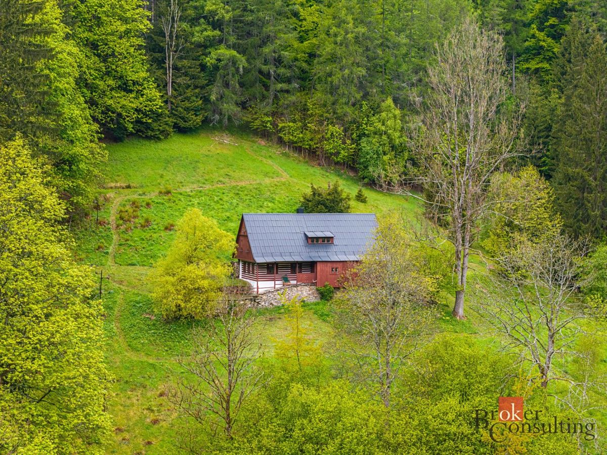 Prodej chalupy 250 m², pozemek 4135 m² – fotografie 4