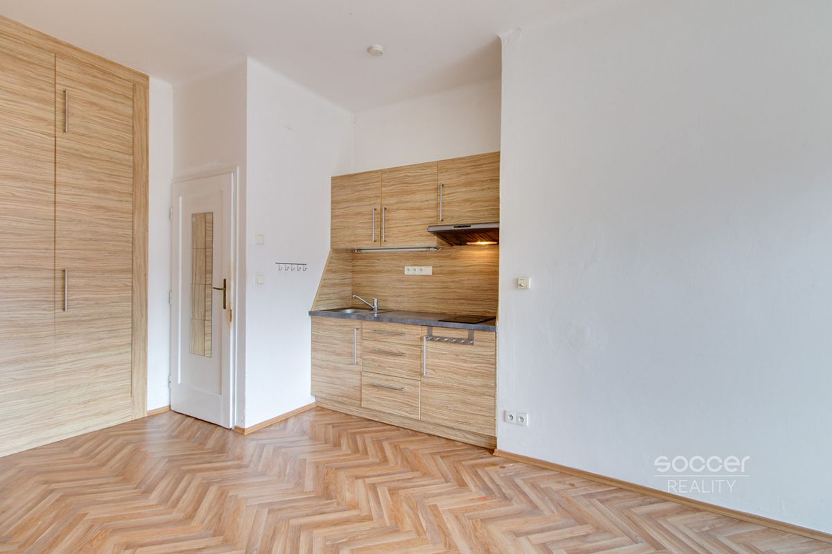 Pronájem bytu 1+1 45 m²
