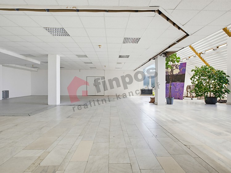 Комерційне приміщення в оренду, 194 м² (6 з 14)