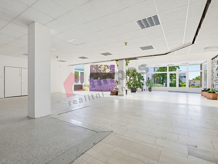 Комерційне приміщення в оренду, 194 м² (10 з 14)