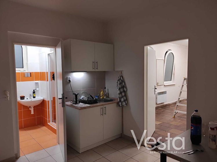 Комерційне приміщення в оренду, 207 м² (5 з 13)