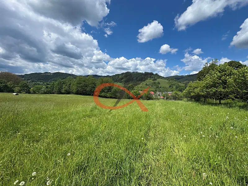 Prodej louky 25140 m², Nový Hrozenkov – náhled fotky 3