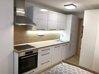Pronájem bytu 1+kk 36 m²
