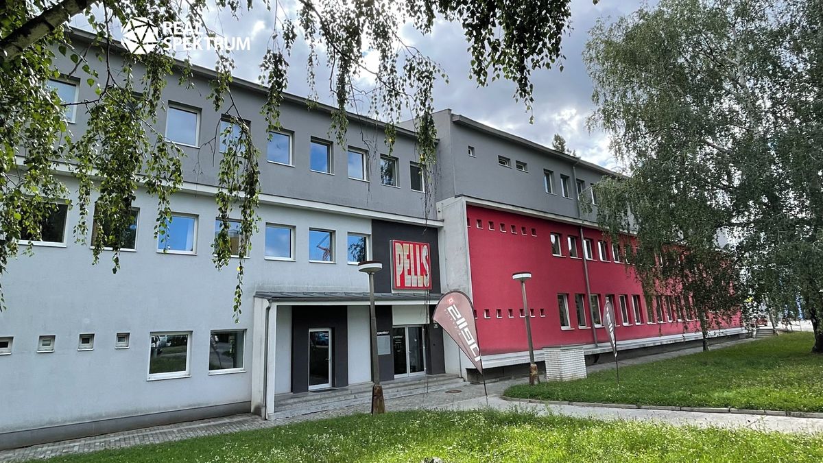 Pronájem kanceláře 203 m² – fotografie 5