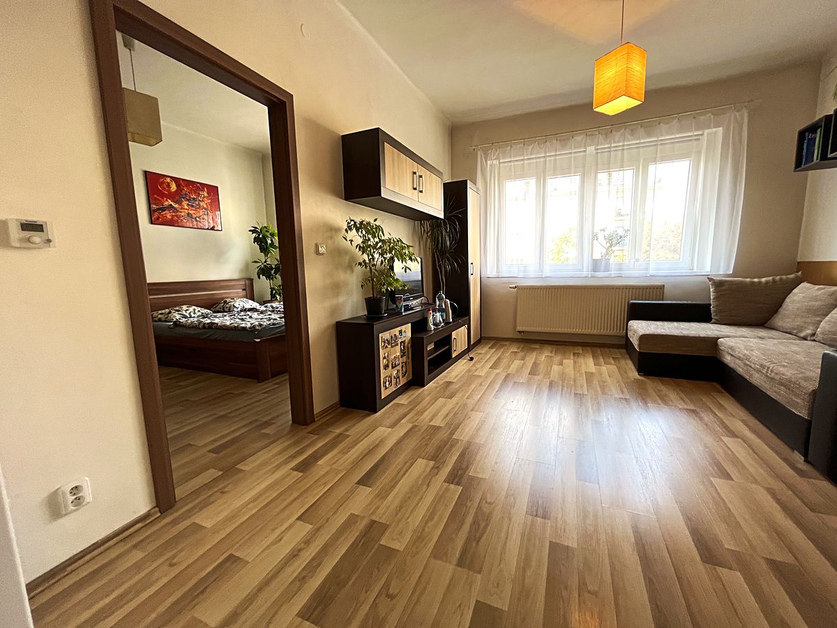 Prodej bytu 2+kk 46 m² (Jednopodlažní)