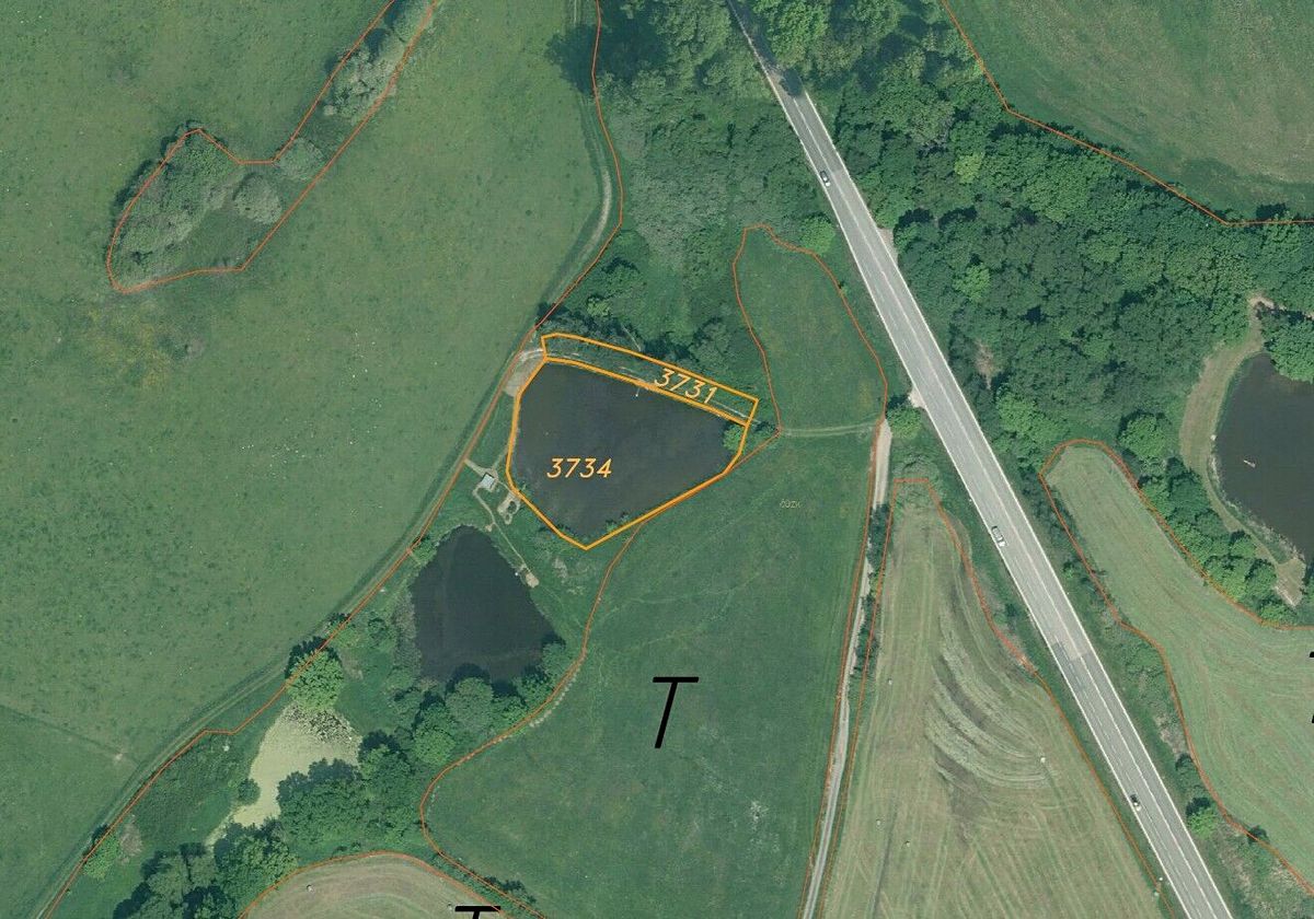 Prodej rybníku (vodní plochy) 2882 m² – fotografie 2