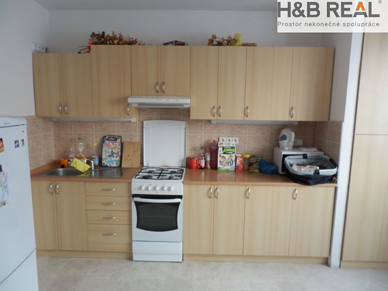 Prodej rodinného domu 480 m², pozemek 483 m² – fotografie 3