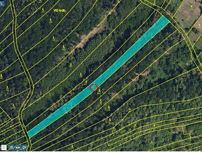 Prodej  lesa 2 800 m²