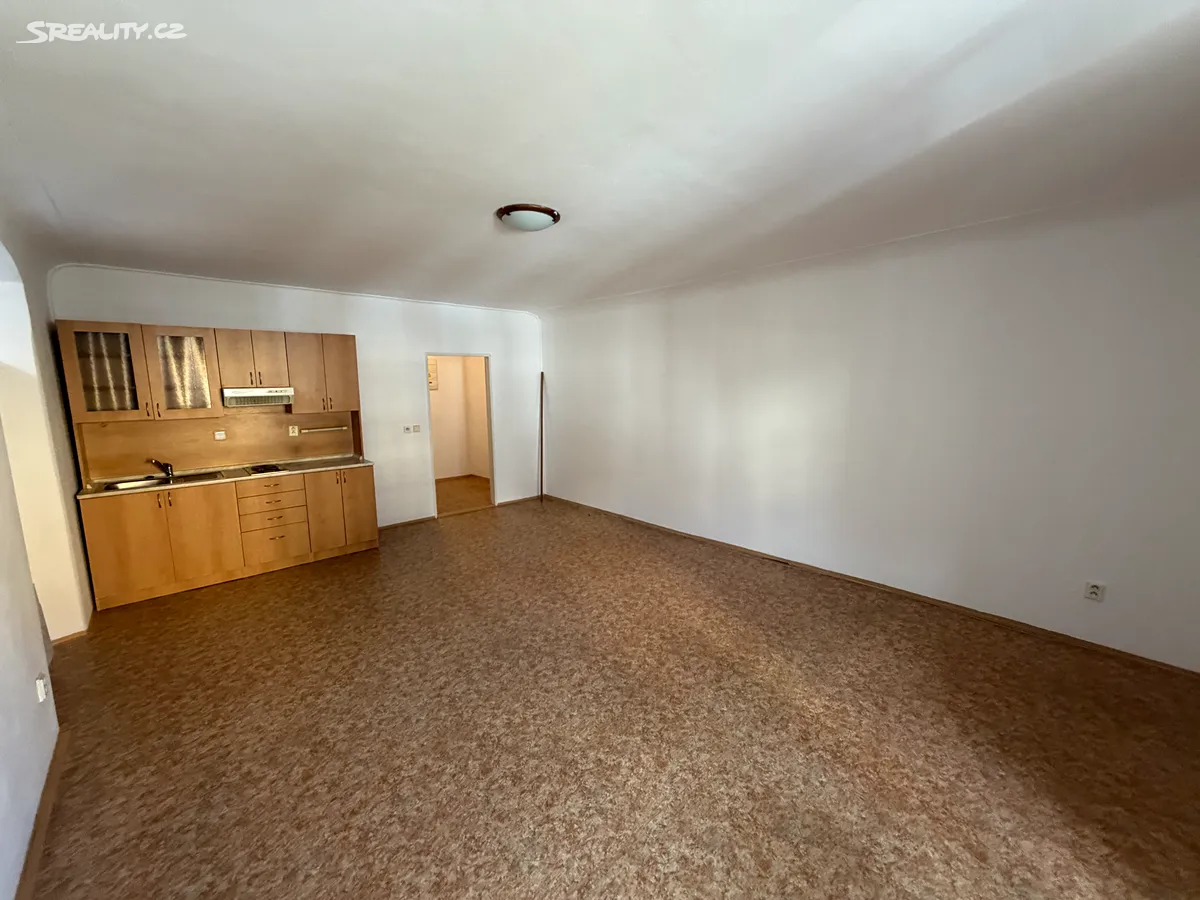 Pronájem bytu 1+kk 40 m² – pohled 3