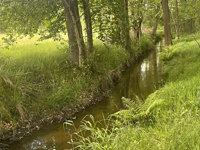Prodej  rybníku (vodní plochy) 130 000 m²