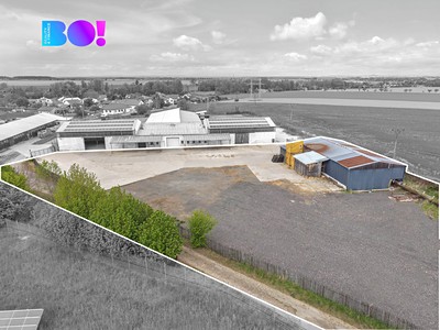 Gewerbefläche zur Miete, 302 m² (2 von 6)