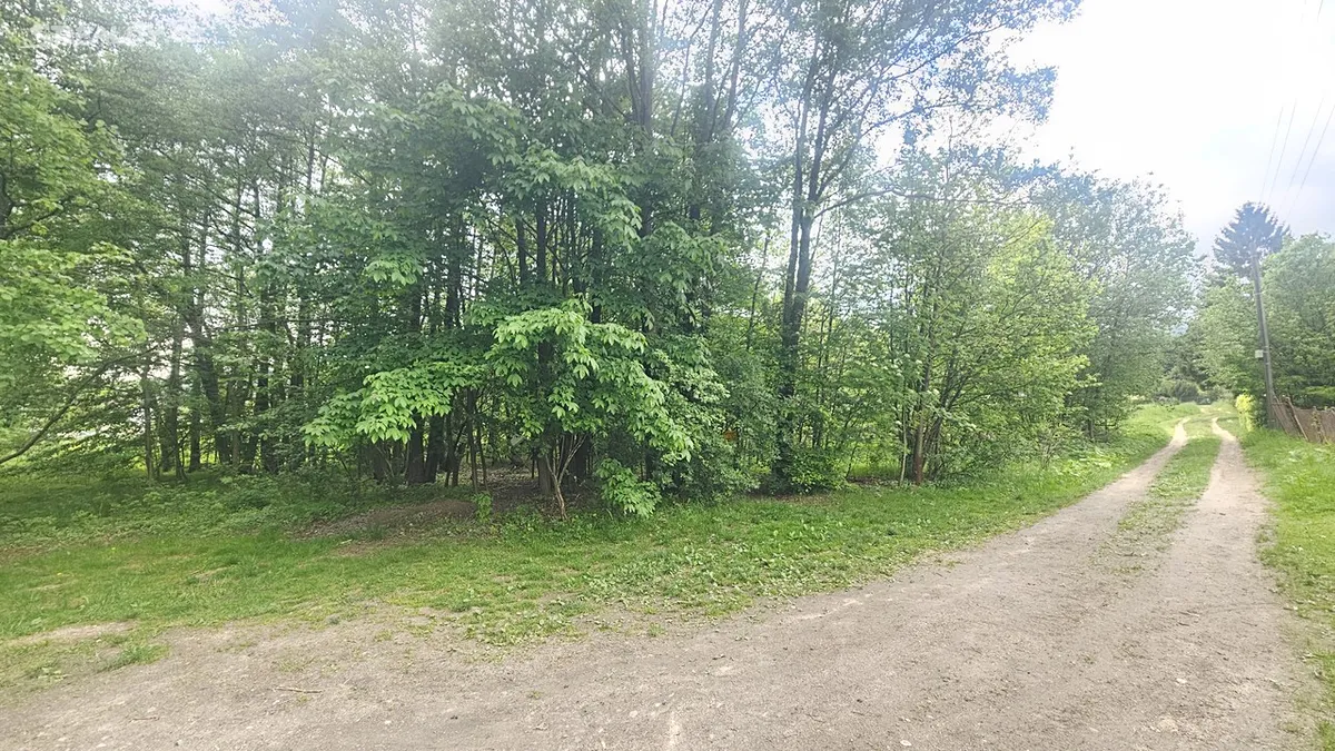 Prodej pozemku 9589 m² - Widok 2