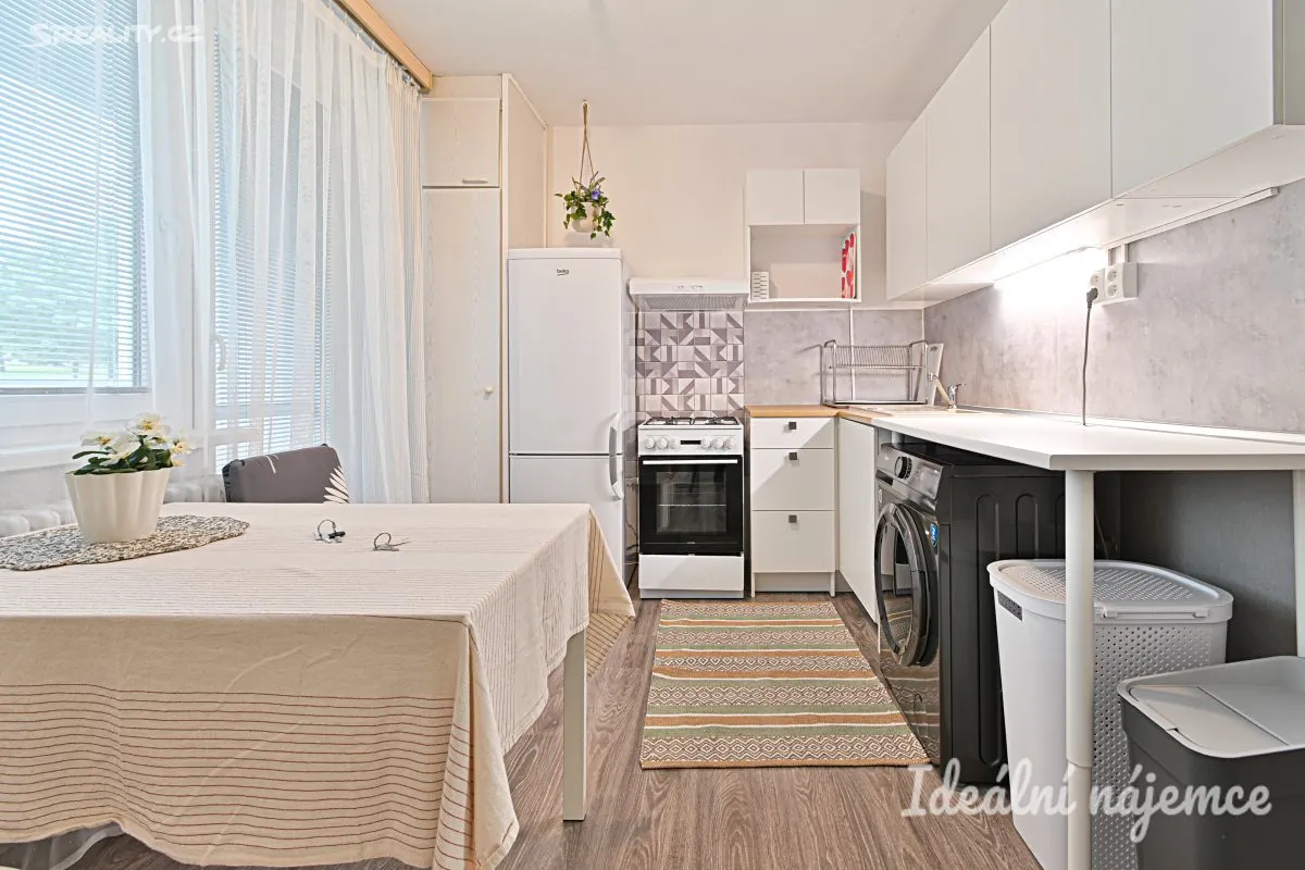 Pronájem bytu 1+1 41 m², Brno