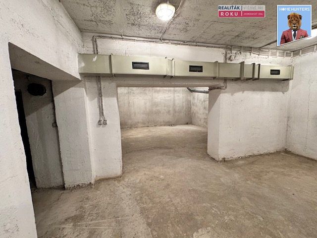 Pronájem obchodního prostoru 222 m² – fotografie 3