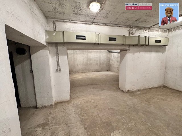 Gewerbefläche zur Miete, 222 m² (3 von 7)