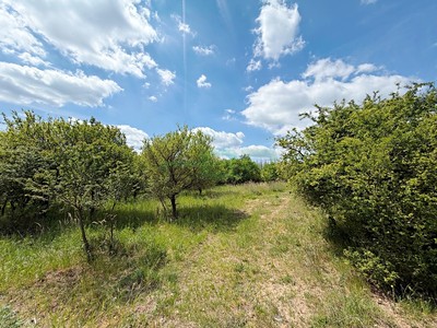 Prodej  pole 5 755 m²