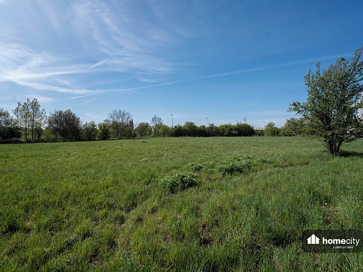 Prodej pozemku, 9 749 m² (2 z 16)