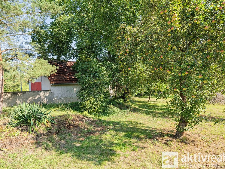 Prodej pozemku, 1 690 m² (9 z 18)